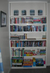 Bookcase with Books, Games and DVDs