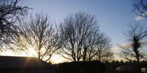 View from Rainbow Cottage's garden